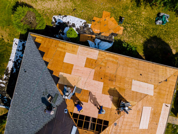 Best Shingle Roofing Installation  in Munising, MI