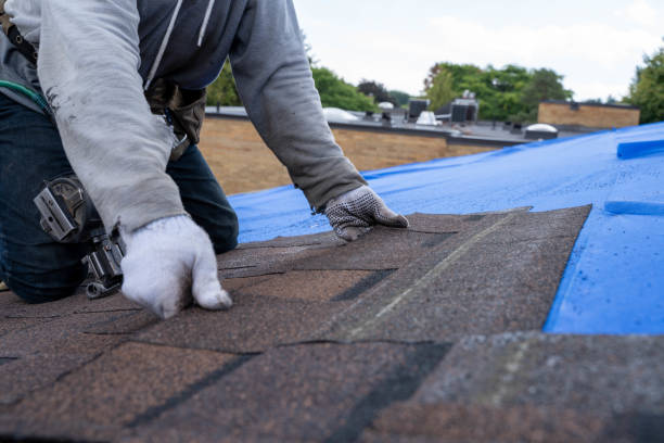 Best Residential Roofing Contractor  in Munising, MI
