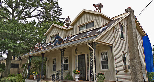Best Storm Damage Roof Repair  in Munising, MI